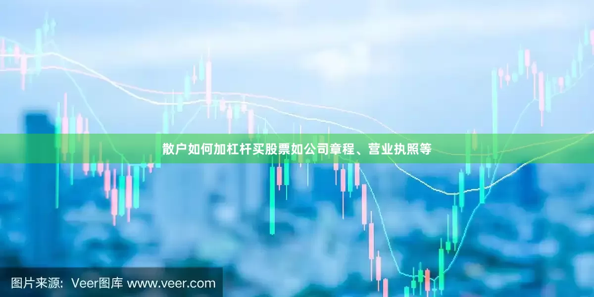 散户如何加杠杆买股票如公司章程、营业执照等
