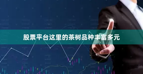 股票平台这里的茶树品种丰富多元