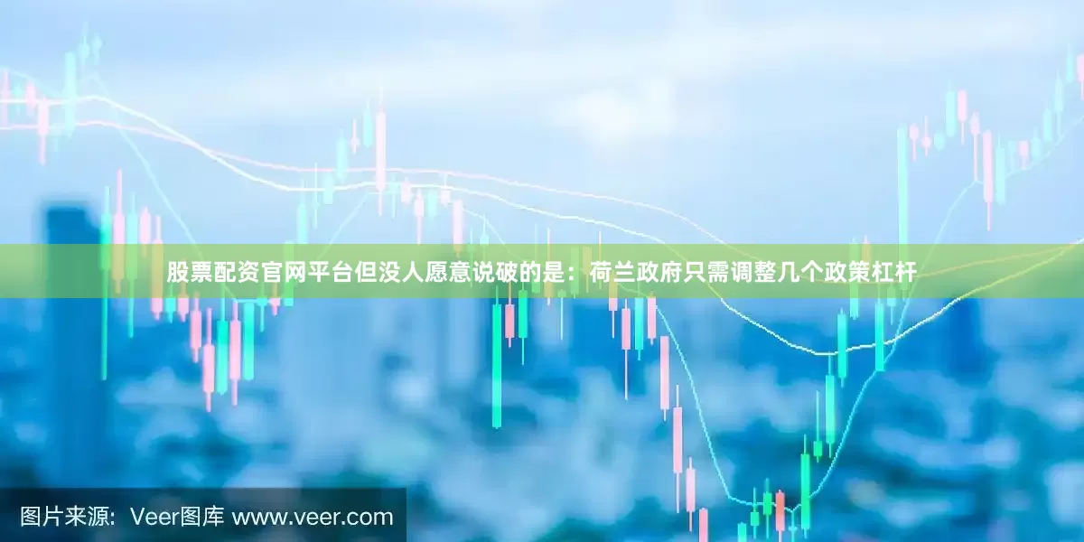 股票配资官网平台但没人愿意说破的是：荷兰政府只需调整几个政策杠杆