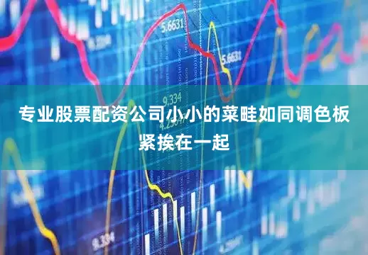 专业股票配资公司小小的菜畦如同调色板紧挨在一起
